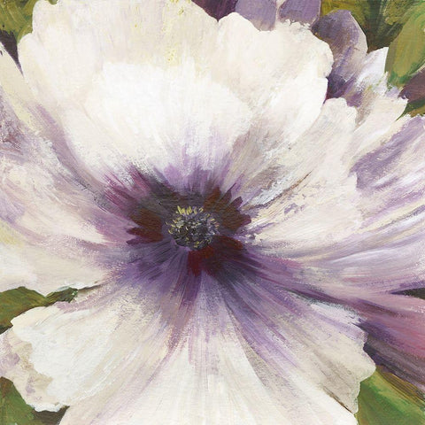 Violet Orchid I  White Modern Wood Framed Art Print with Double Matting by Jensen, Asia