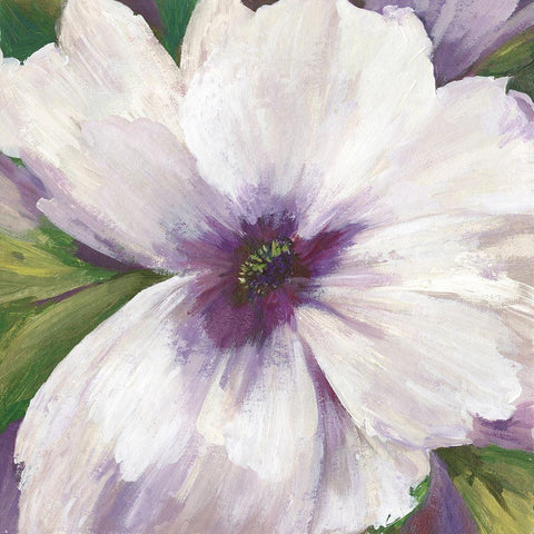 Violet Orchid II  White Modern Wood Framed Art Print with Double Matting by Jensen, Asia