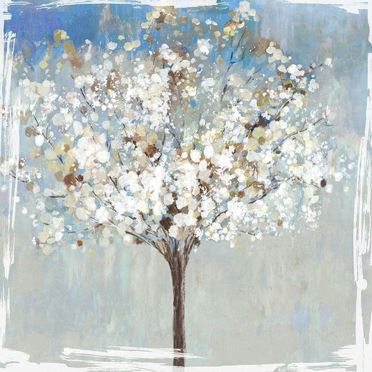 Image Only