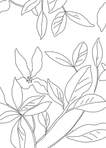 Delicate Movement II Black Ornate Wood Framed Art Print with Double Matting by Jensen, Asia