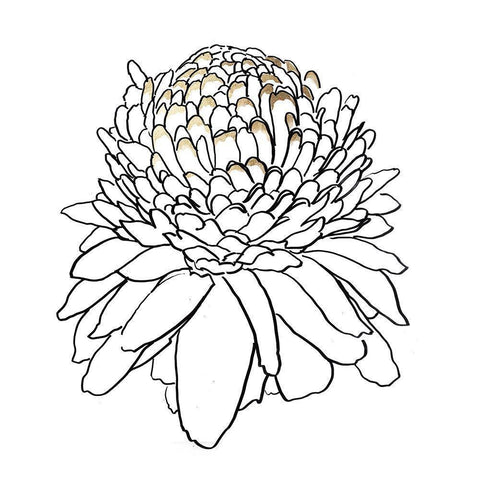 To the Dandelion I White Modern Wood Framed Art Print by Jensen, Asia