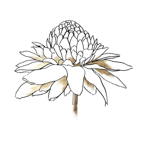 To the Dandelion II White Modern Wood Framed Art Print with Double Matting by Jensen, Asia