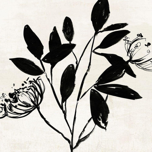 Image Only