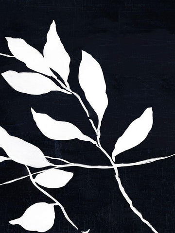 Fearless I Black Ornate Wood Framed Art Print with Double Matting by Jensen, Asia