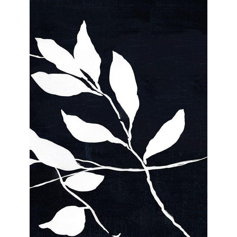 Fearless I Black Modern Wood Framed Art Print by Jensen, Asia