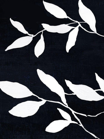 Fearless II White Modern Wood Framed Art Print with Double Matting by Jensen, Asia