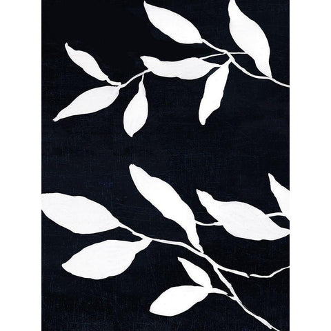 Fearless II Black Modern Wood Framed Art Print with Double Matting by Jensen, Asia