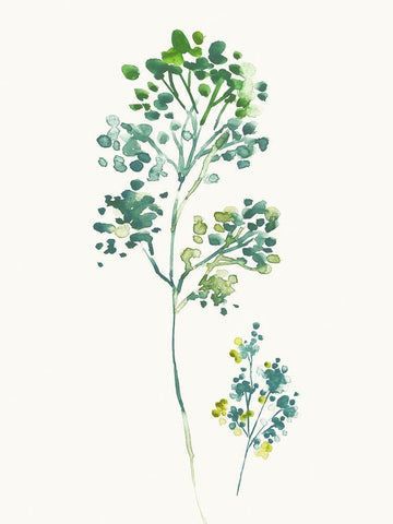 Summers First Black Ornate Wood Framed Art Print with Double Matting by Jensen, Asia