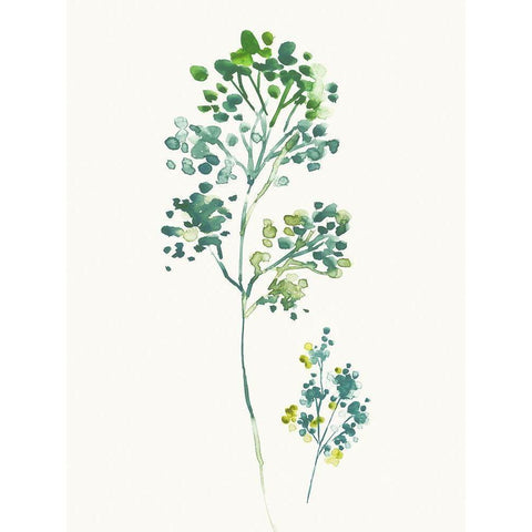 Summers First White Modern Wood Framed Art Print by Jensen, Asia