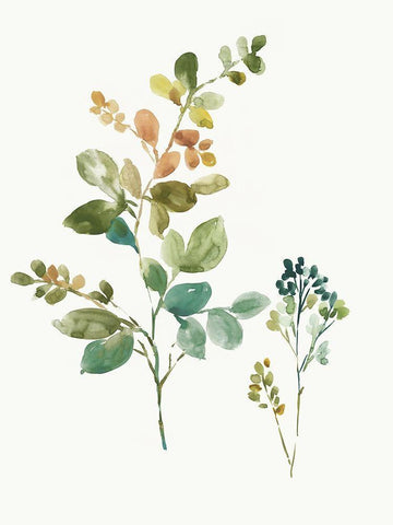 True and Fair Black Ornate Wood Framed Art Print with Double Matting by Jensen, Asia