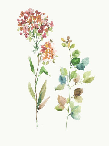 My Heart is Set Black Ornate Wood Framed Art Print with Double Matting by Jensen, Asia