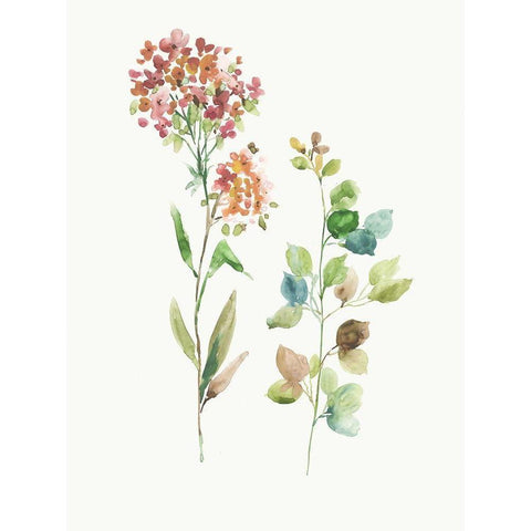 My Heart is Set White Modern Wood Framed Art Print by Jensen, Asia