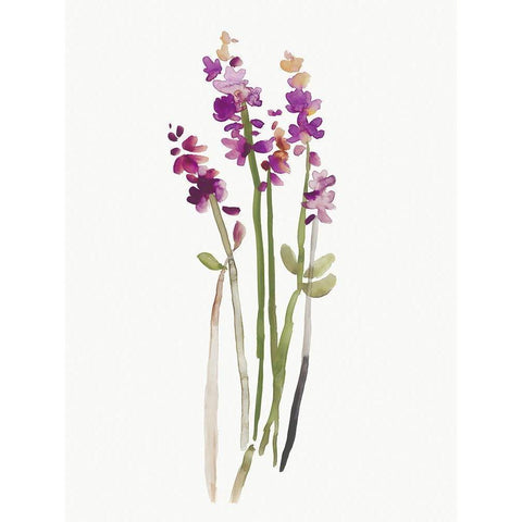 Heavens Art Black Modern Wood Framed Art Print with Double Matting by Jensen, Asia