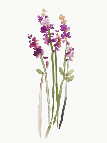 Heavens Art White Modern Wood Framed Art Print with Double Matting by Jensen, Asia