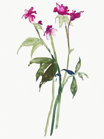 Picked for You Black Ornate Wood Framed Art Print with Double Matting by Jensen, Asia