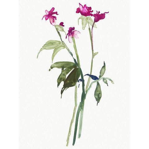 Picked for You White Modern Wood Framed Art Print by Jensen, Asia