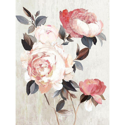 Bloom of Blush  Black Modern Wood Framed Art Print with Double Matting by Jensen, Asia