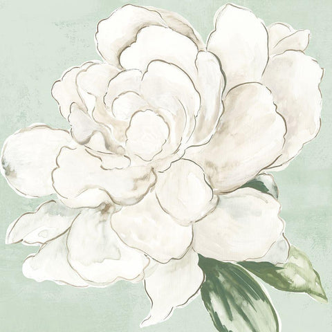 Garden Princess White Modern Wood Framed Art Print by Jensen, Asia