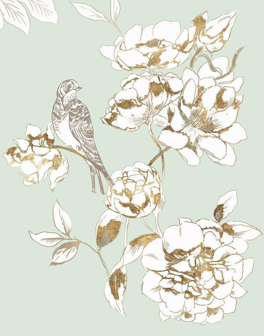 Image Only