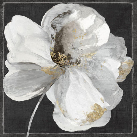 White Queen I Black Modern Wood Framed Art Print with Double Matting by Jensen, Asia