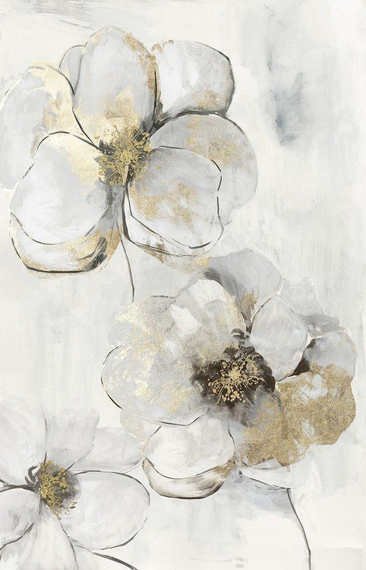 Image Only