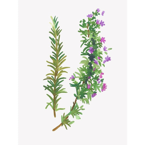 Wild Rosemary Black Modern Wood Framed Art Print by Jensen, Asia