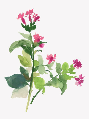 Spring is Coming White Modern Wood Framed Art Print with Double Matting by Jensen, Asia