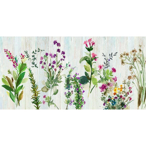 Forest Treasure Black Modern Wood Framed Art Print by Jensen, Asia