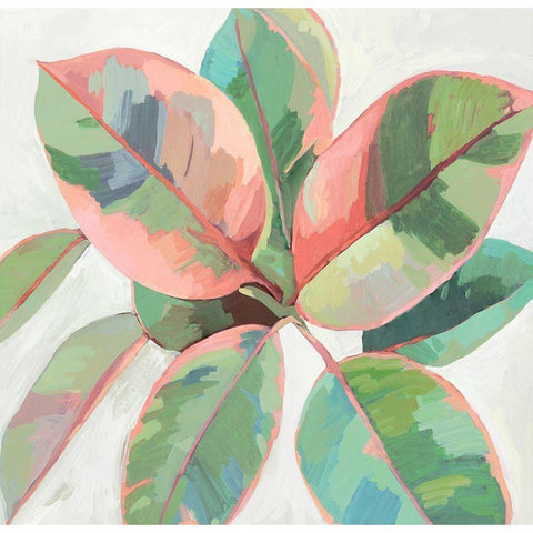 Pink Ficus II White Modern Wood Framed Art Print by Jensen, Asia