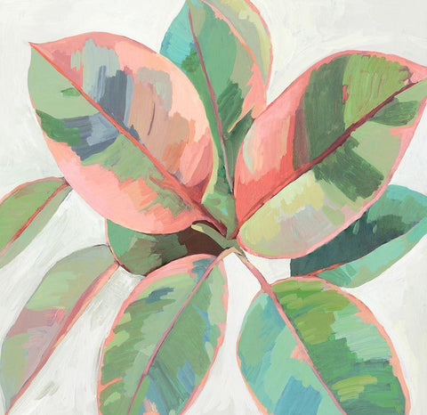 Pink Ficus II White Modern Wood Framed Art Print with Double Matting by Jensen, Asia