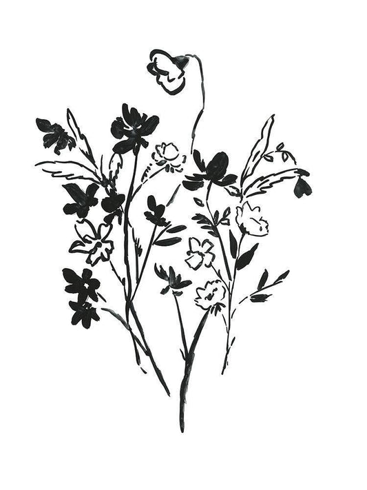 Image Only