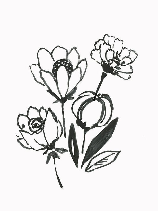 Image Only