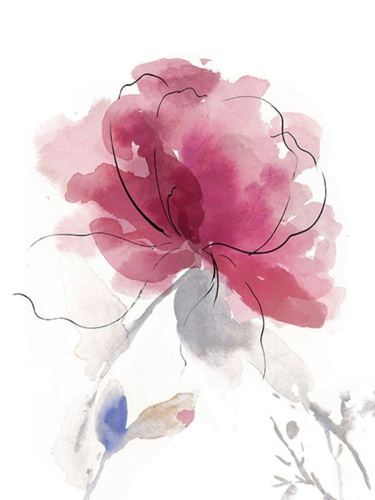 Image Only