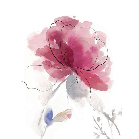 Rosy Bloom II Black Modern Wood Framed Art Print with Double Matting by Jensen, Asia