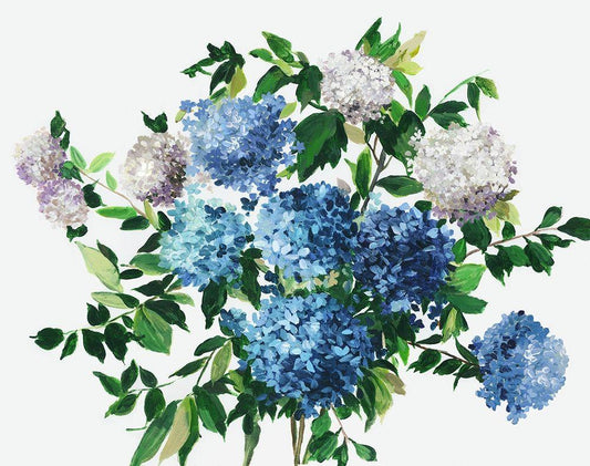 Image Only