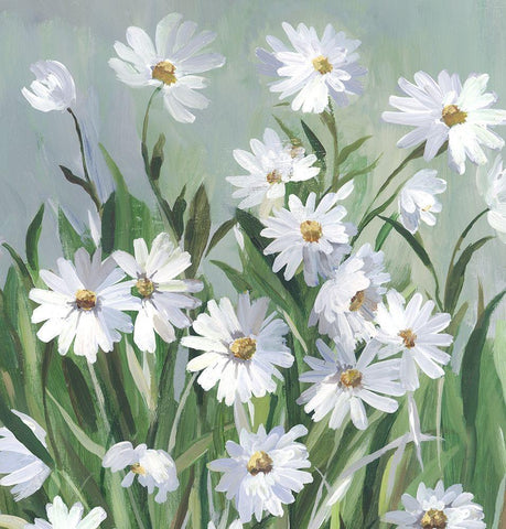 Daisy Day White Modern Wood Framed Art Print with Double Matting by Jensen, Asia