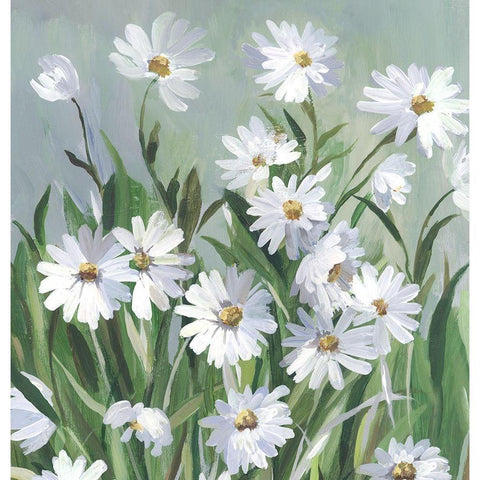 Daisy Day Black Modern Wood Framed Art Print by Jensen, Asia