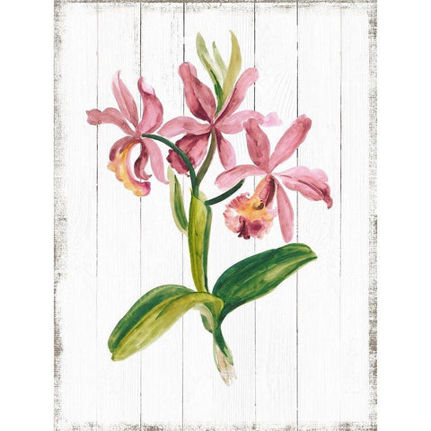 Sentimental Memories II White Modern Wood Framed Art Print by Jensen, Asia