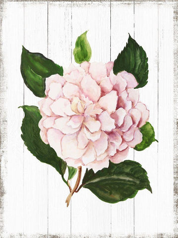 Sharing Memories I White Modern Wood Framed Art Print with Double Matting by Jensen, Asia