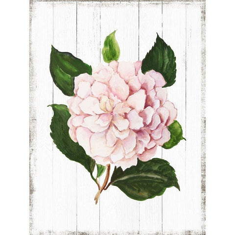 Sharing Memories I Gold Ornate Wood Framed Art Print with Double Matting by Jensen, Asia