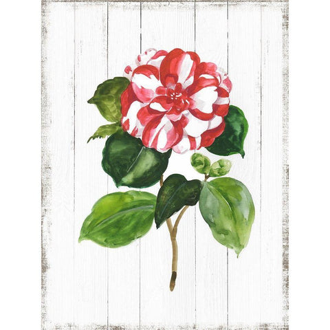 Sharing Memories II White Modern Wood Framed Art Print by Jensen, Asia