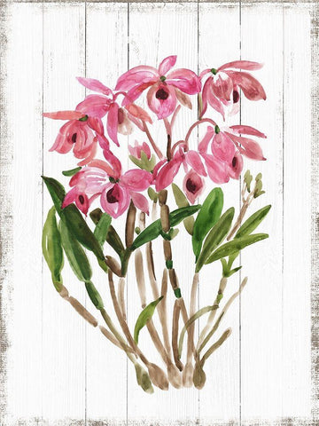 Sharing Memories III White Modern Wood Framed Art Print with Double Matting by Jensen, Asia