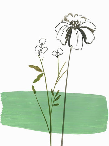 Little Herb II White Modern Wood Framed Art Print with Double Matting by Jensen, Asia