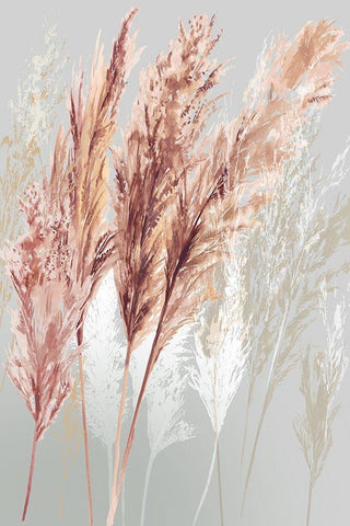 Blushing Pomp Grass I  White Modern Wood Framed Art Print with Double Matting by Jensen, Asia