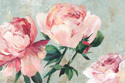 Rosebush  White Modern Wood Framed Art Print with Double Matting by Jensen, Asia