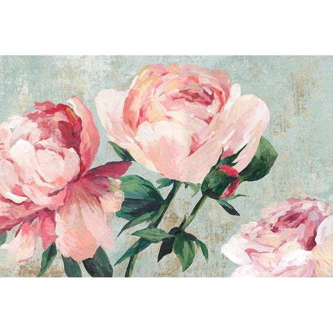 Rosebush  Gold Ornate Wood Framed Art Print with Double Matting by Jensen, Asia