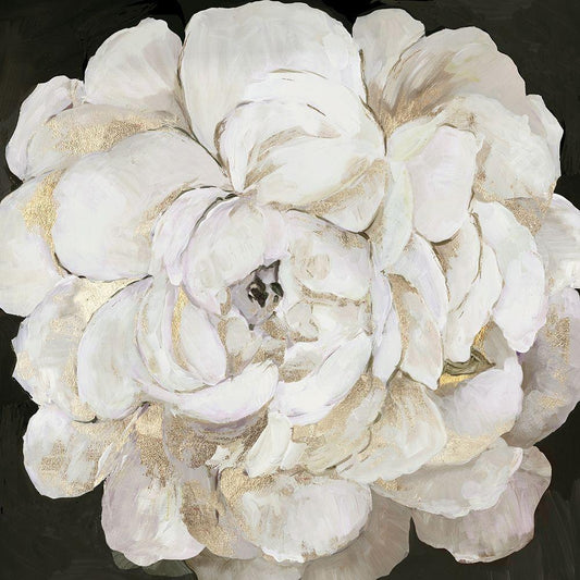 Image Only