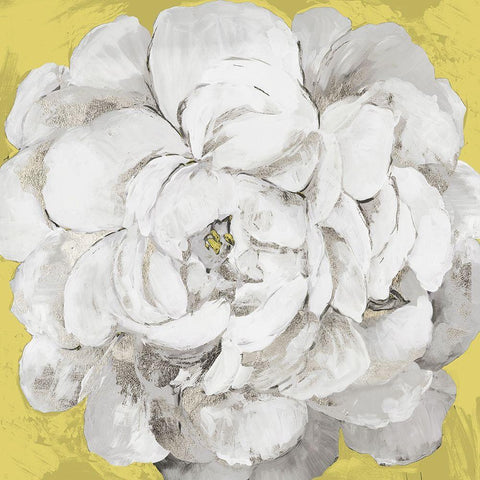 White Peonia Yellow Version Black Ornate Wood Framed Art Print with Double Matting by Jensen, Asia