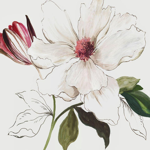 Pink Bontanical I  White Modern Wood Framed Art Print with Double Matting by Jensen, Asia