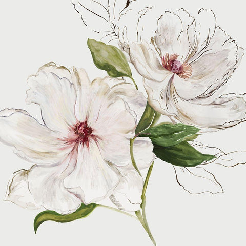 Pink Bontanical II Black Modern Wood Framed Art Print by Jensen, Asia